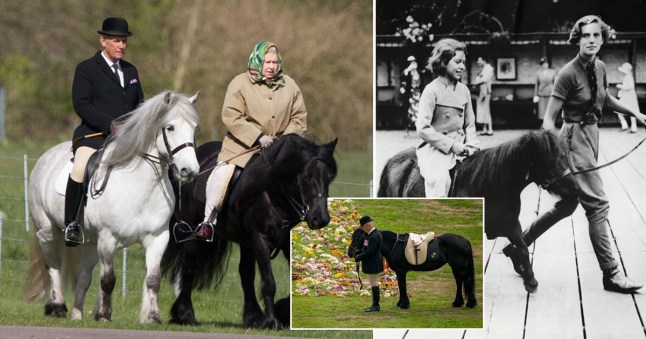 Queen's final ride revealed by loyal groom