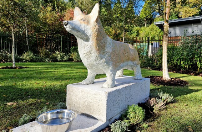 The official unveiling of two new sculptures of Corgis outside Walsall Arboretum Visitor Centre, commemorating Her Majesty Queen Elizabeth II. Release date ? October 4, 2024. A cash-strapped council has been slammed for spending ?35,000 of taxpayers cash on two corgi statues in tribute to Queen Elizabeth II. Walsall Council forked out thousands of pounds on the stone corgis which have gone on display in Walsall Arboretum as it celebrates its 150th anniversary. But many residents have questioned whether the cash could have been spent better elsewhere as the authority looks to slash ?20m from its budget this year. Locals also pointed to the fact council tax had been raised by 4.99 per cent and said they failed to 'see the point' of the 5ft long commemorative corgi statues. Tracey Wilkins, 55, of Blakenall, Walsall, said: "I like them, but it's a bit controversial, isn't it?