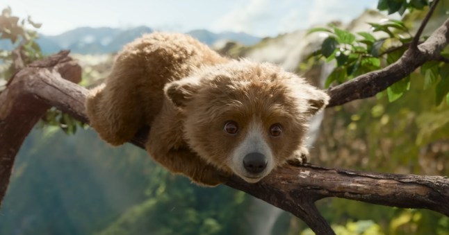 Baby Paddington Bear is the cutest thing you'll seePADDINGTON IN PERU - New Trailer - Paddington Bear returns!