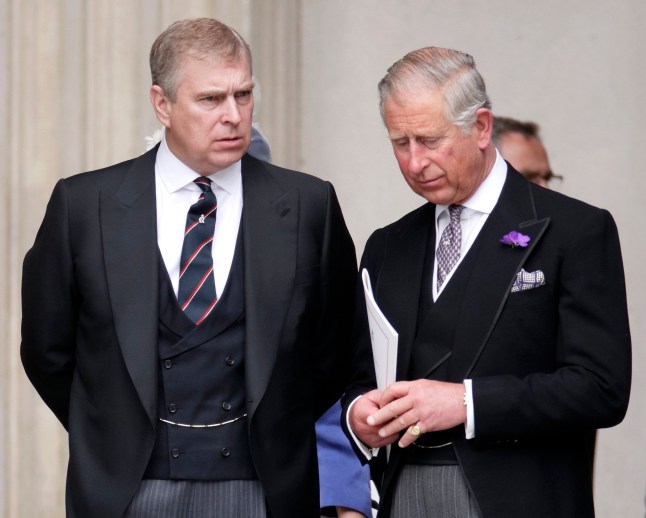 LONDON, UNITED KINGDOM - JUNE 05: (EMBARGOED FOR PUBLICATION IN UK NEWSPAPERS UNTIL 24 HOURS AFTER CREATE DATE AND TIME) Prince Andrew, Duke of York and Prince Charles, Prince of Wales attend a Service of Thanksgiving to celebrate Queen Elizabeth II's Diamond Jubilee at St Paul's Cathedral on June 5, 2012 in London, England. For only the second time in its history the UK celebrates the Diamond Jubilee of a monarch. Her Majesty Queen Elizabeth II celebrates the 60th anniversary of her ascension to the throne. Thousands of wellwishers from around the world have flocked to London to witness the spectacle of the weekend's celebrations. (Photo by Max Mumby/Indigo/Getty Images)