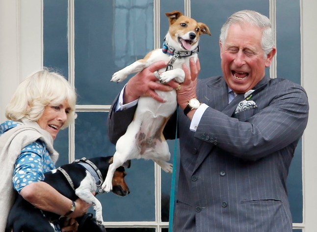 File photo dated 24/06/15 of King Charles III and Queen Camilla (then the Prince of Wales and Duchess of Cornwall) holding her dogs Beth (left) and Bluebell, during the inaugural Dumfries House Dog Show at Dumfries House, Cumnock, Ayrshire. The Queen has been left heartbroken after the death of Beth, one of her beloved dogs. The terrier was adopted by Camilla from the Battersea Dogs and Cats Home, along with her other dog Bluebell. Issue date: Monday November 18, 2024. PA Photo. See PA story ROYAL Beth. Photo credit should read: Danny Lawson/PA Wire