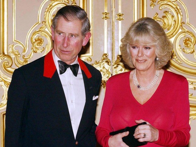 Charles and Camilla after their wedding announcement.