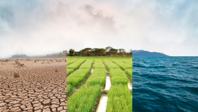 How to incorporate sustainability into corporate strategies